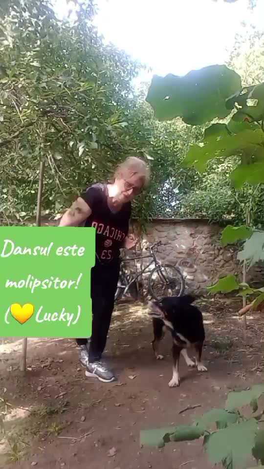 Prietenul la nevoie se cunoaste😉