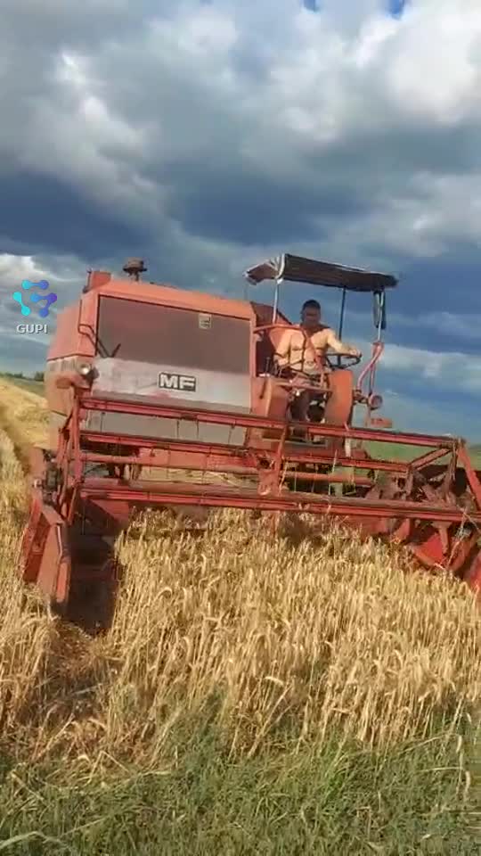 Video de @gupiuser323251