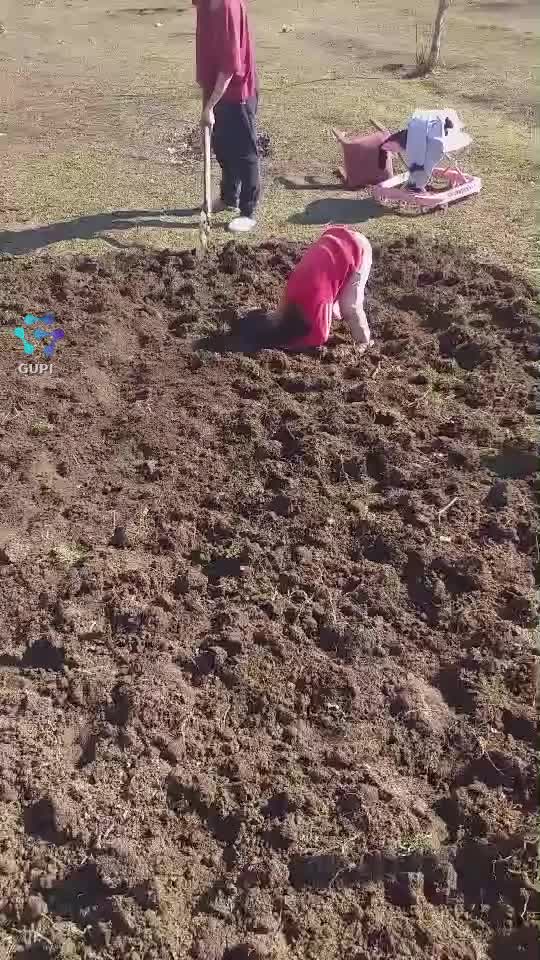 Video de @gupiuser371609