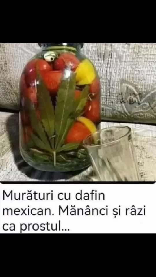MURĂTURILE LUI MUKUSOR DE LA COTOCENI