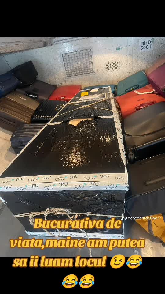 Te duci și tu că tot Omul liniștit la servici și te trezești că ai mortăciune de îmbarcat,legat in cala să mă vezi mort și nu urc să îl leg 🫣😂😂😂✈️