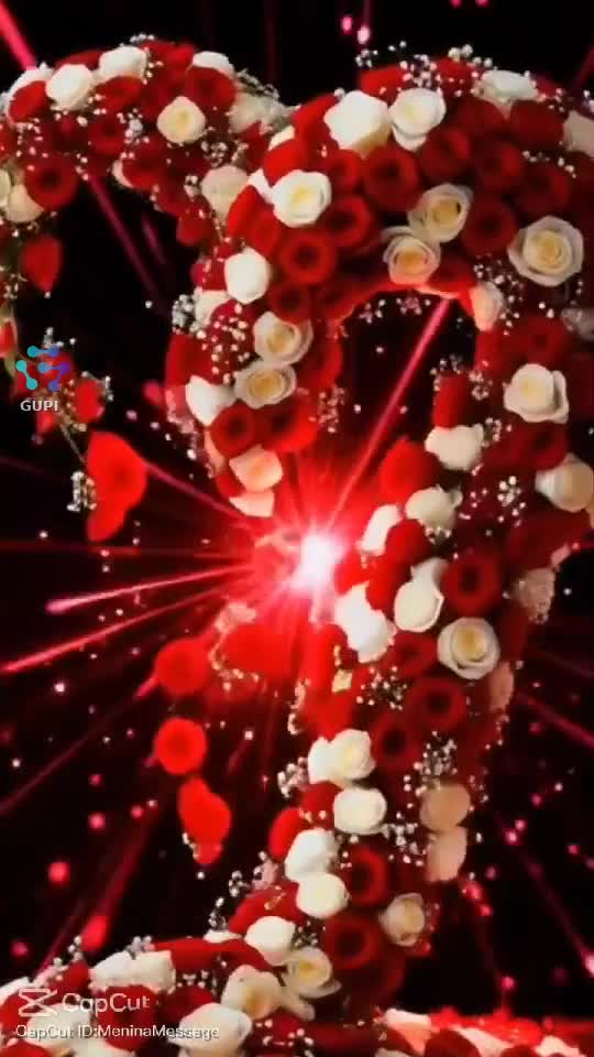 Video de @NinelaNinela🙏♾️🙌🤍🕊♾️