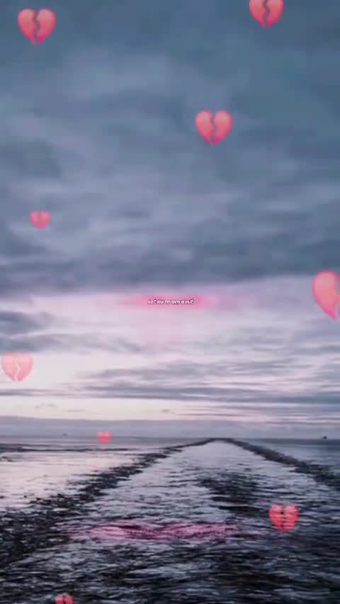 # 🦋 🌊🚢