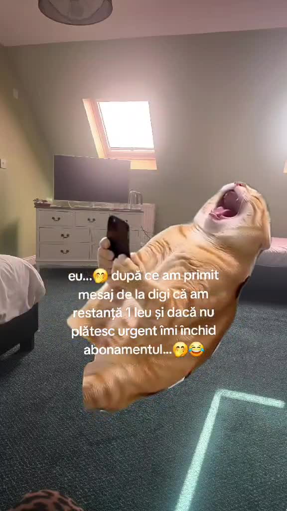 Video de @gupiuser226557