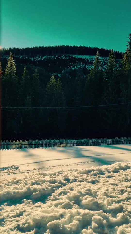 #Transilvania