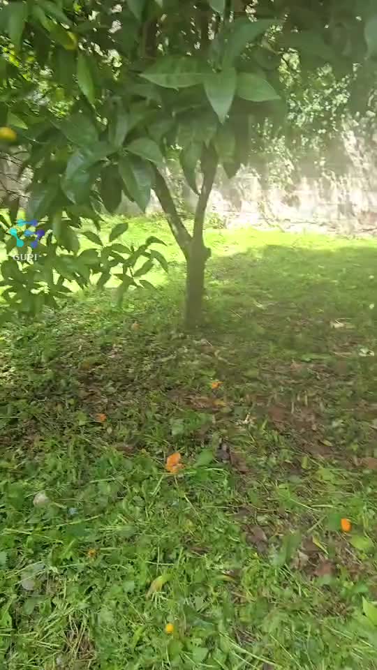 La gradina🥰🥰🥰