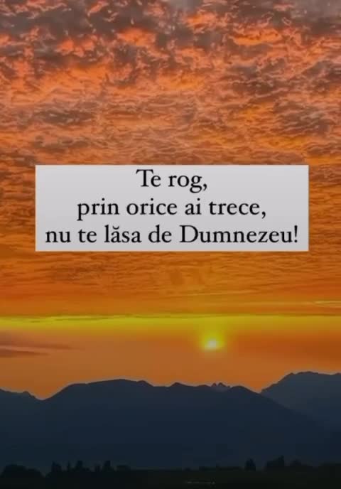 Bună dimineața zi cu spor vă doresc 🤝🙏🫶