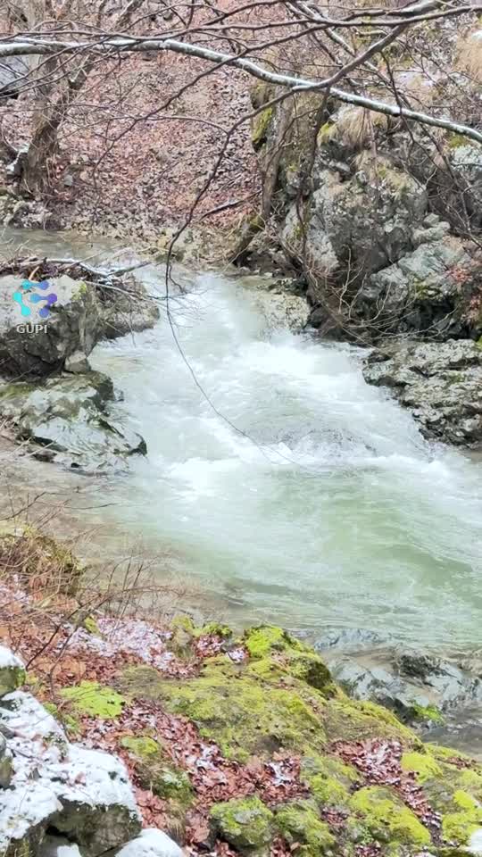 Viata in natură