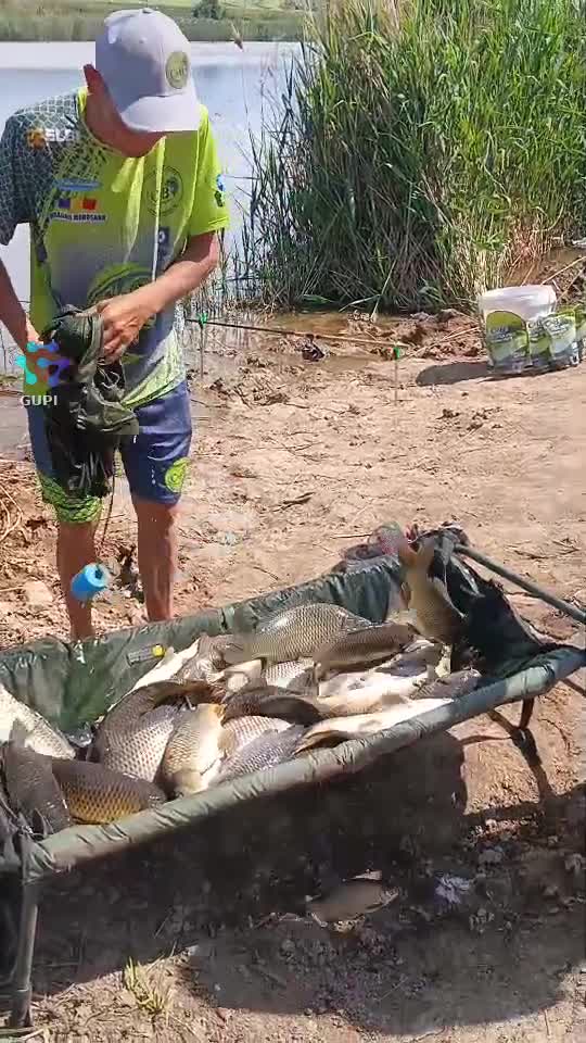 Video de @gupiuser583849