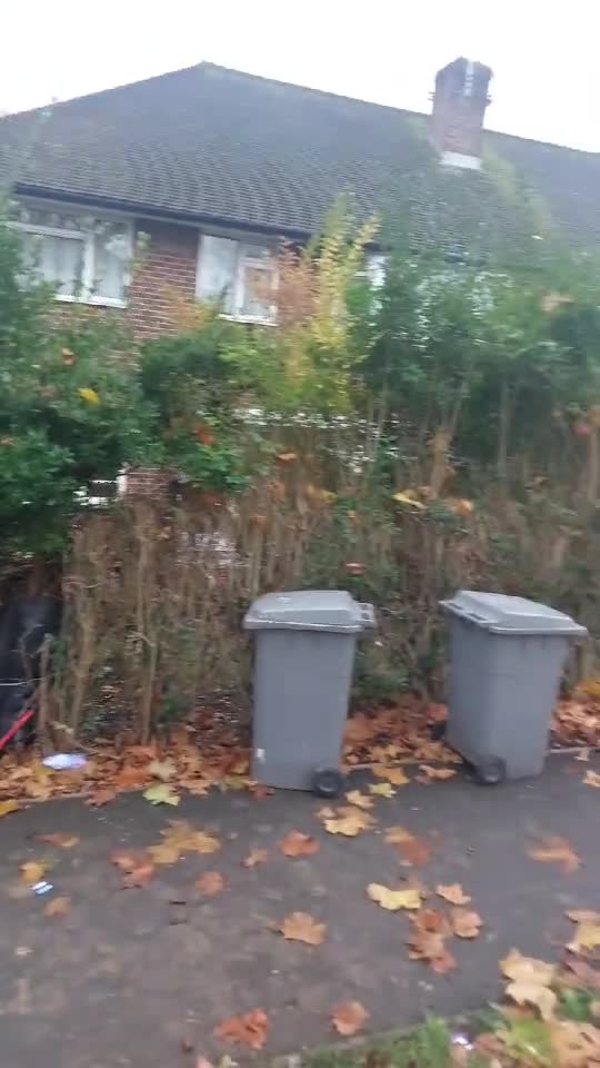 colinde de Crăciun 🎄🎄🎄🎄