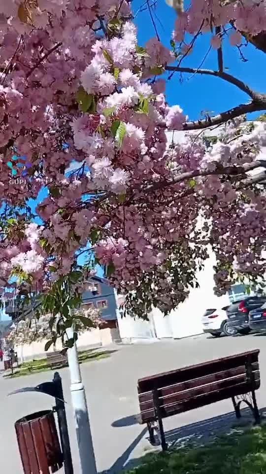 🥰🥰🥰