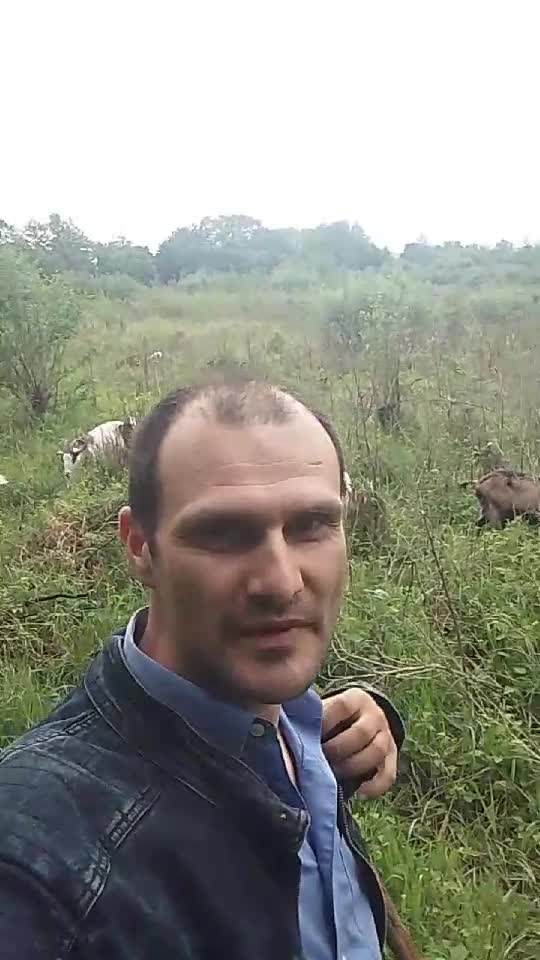 salutări Ardelenești