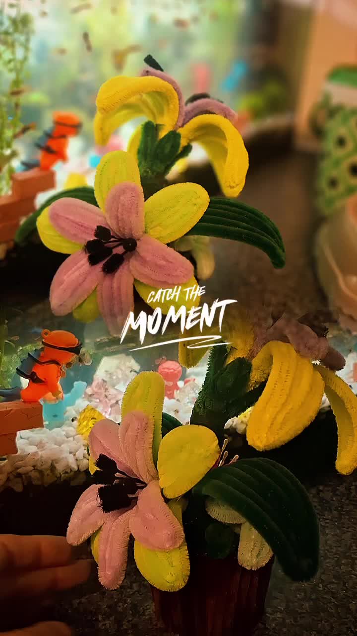 #viral_video