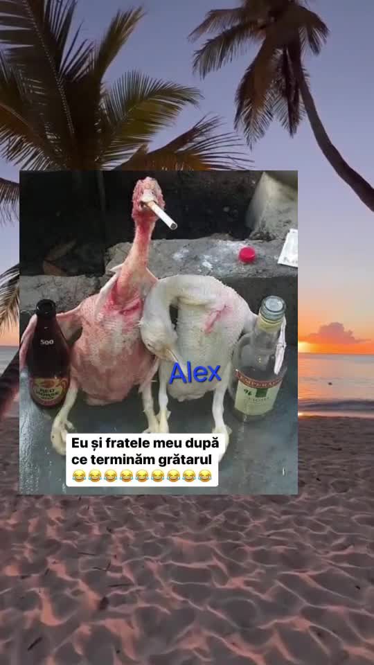 🇷🇴🤪🇷🇴#🇷🇴🤣🤣