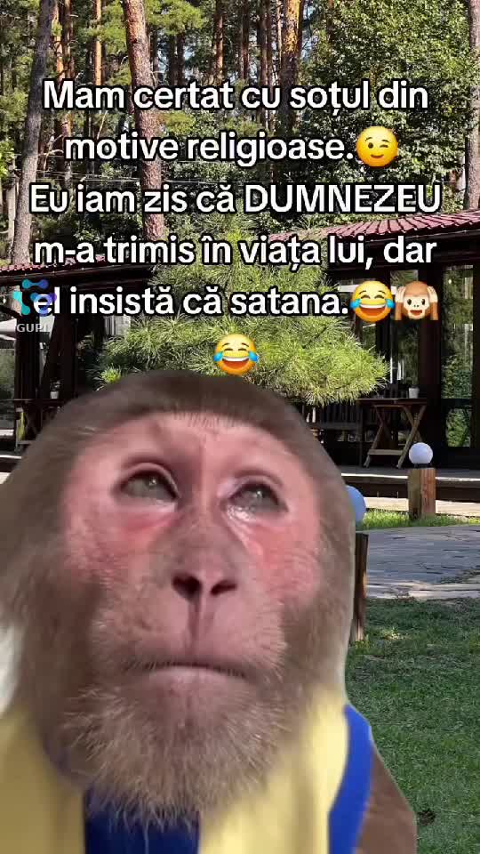Video de @gupiuser218553