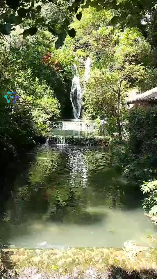 Video de @gupiuser148240