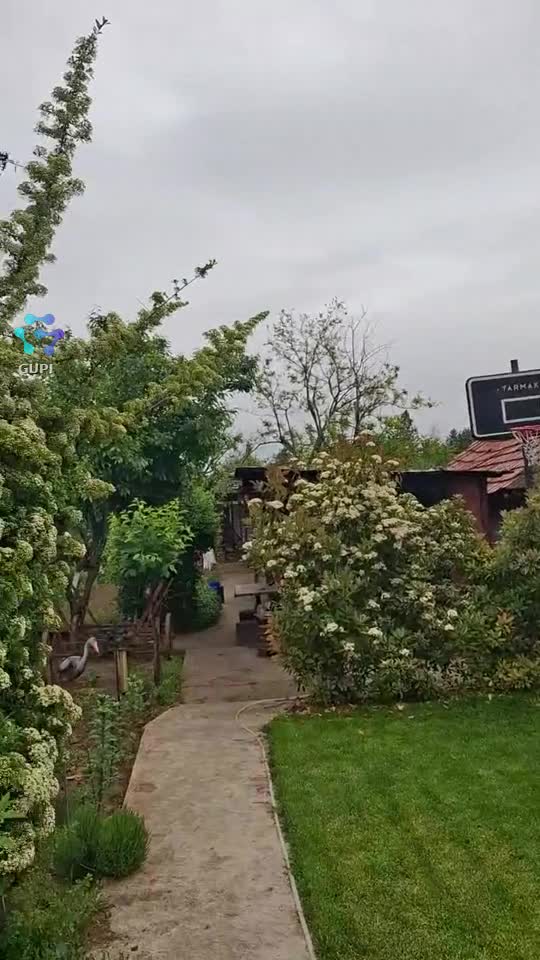 Viata la țară!🤗