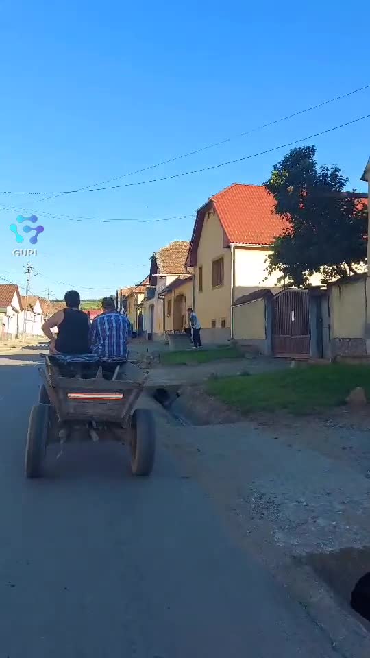Video de @FLRica06