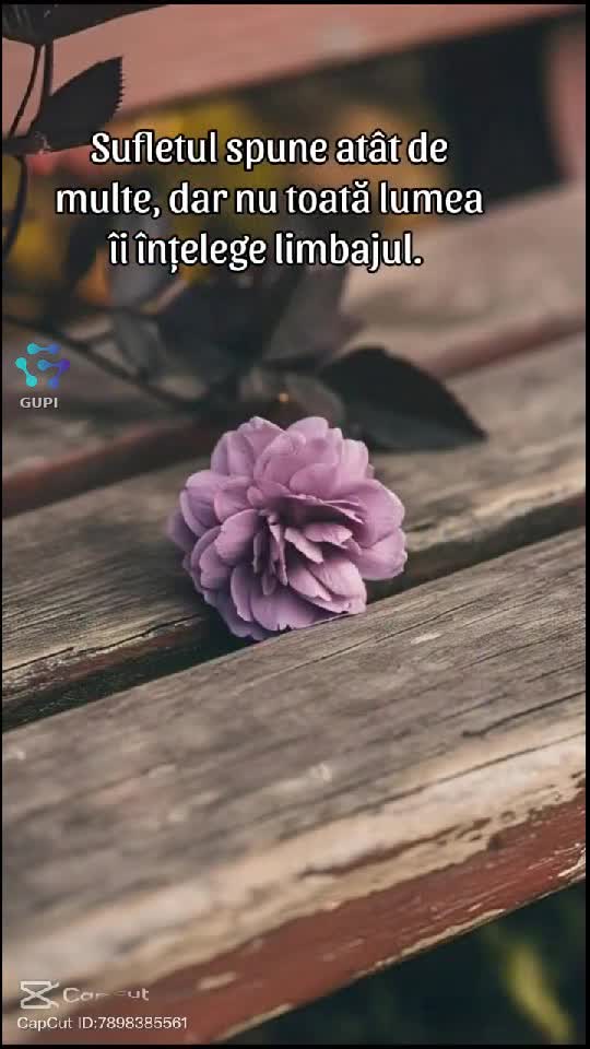 #foruyougupi