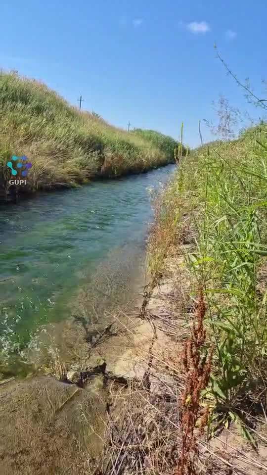 dupa o ora de pescuit pe canal