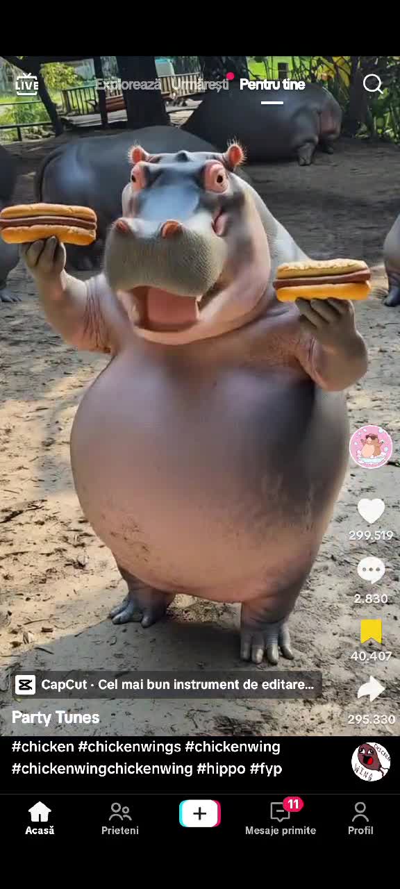 #folow
