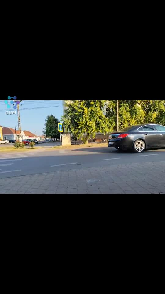 Video de @gupiuser156147