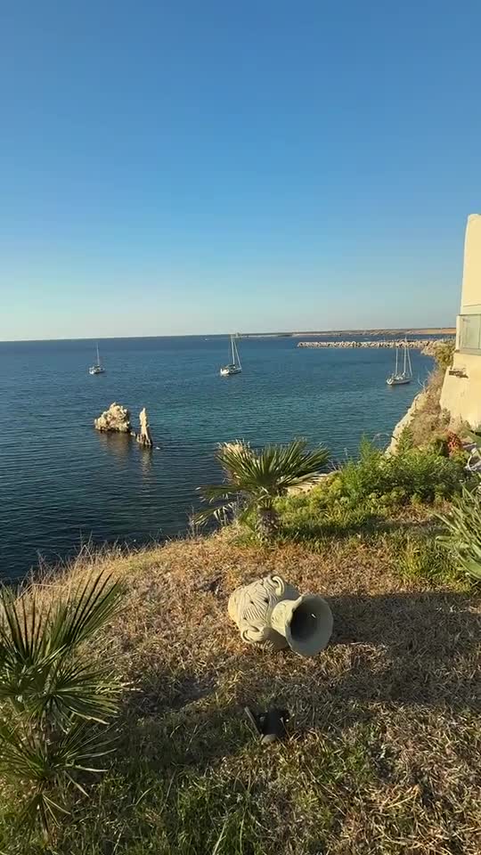 Video de @Georgina