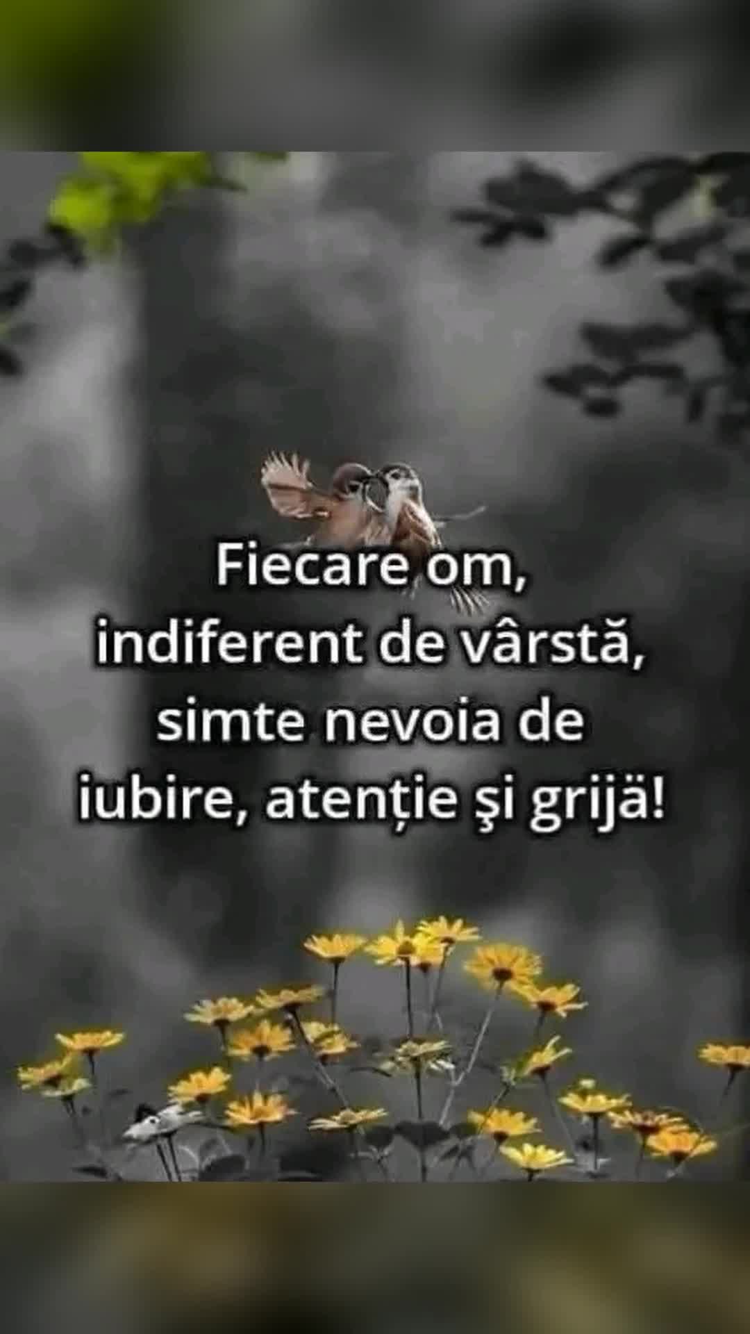 Video de @gupiuser887821