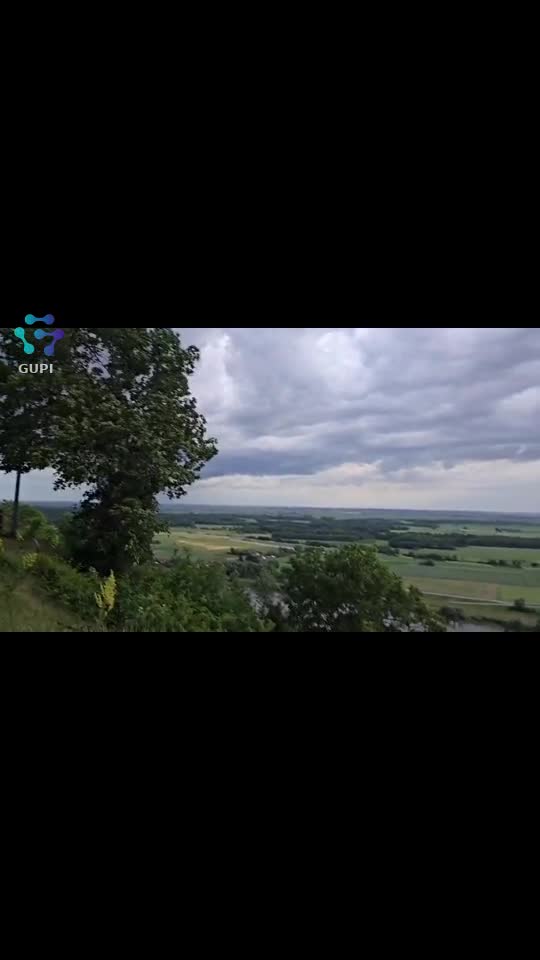 🌳🌳🌳🍀🍀🌳🌳🌳