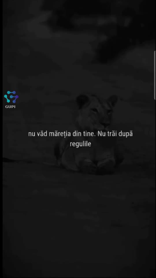 Video de @Anghell