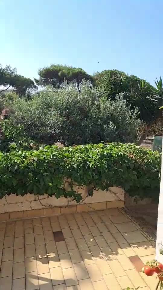 Bună dimineața suflet frumos ☕🍰😍🌱🌺🌼🌳🌴