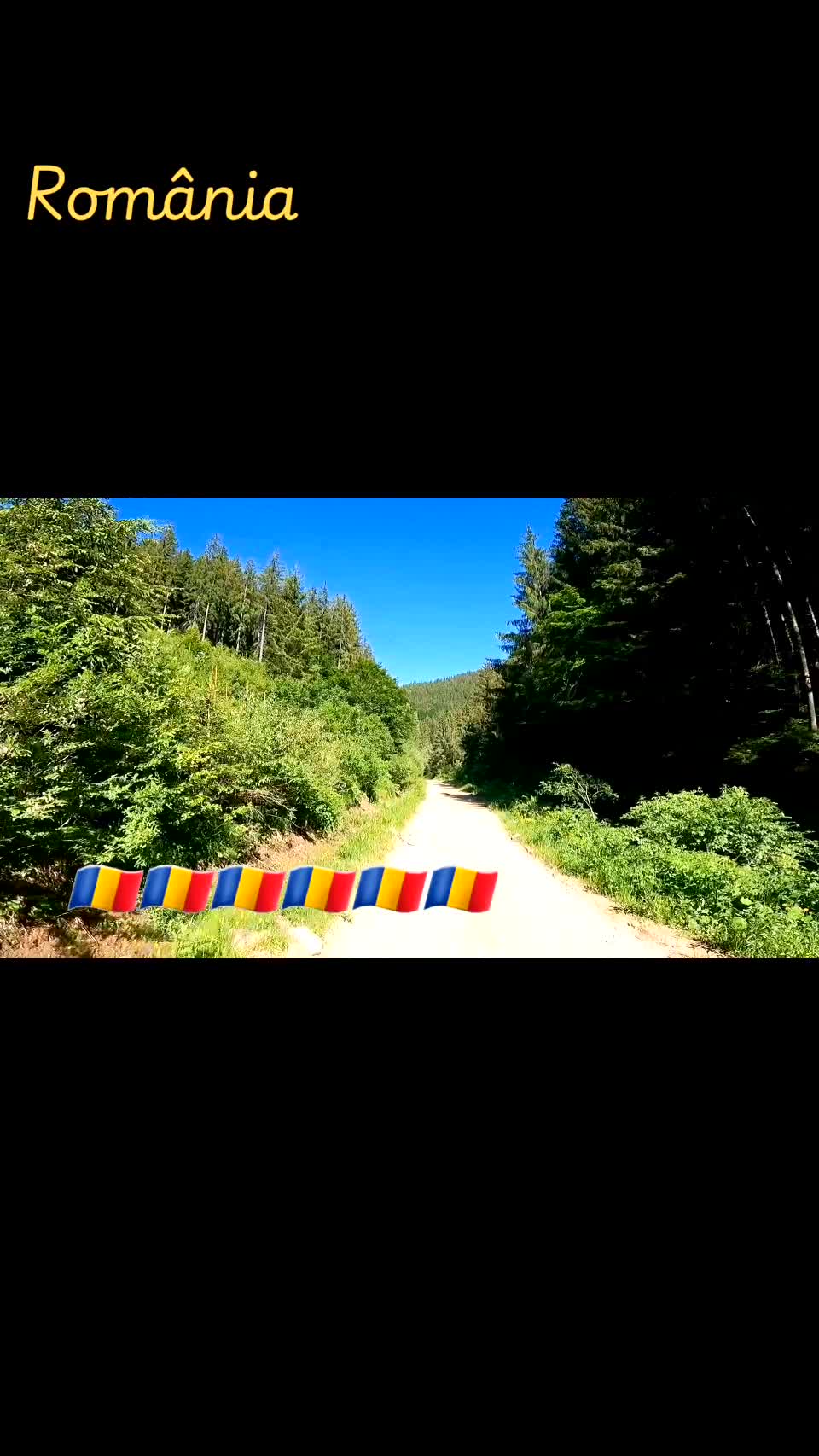 Video de @FLRica06