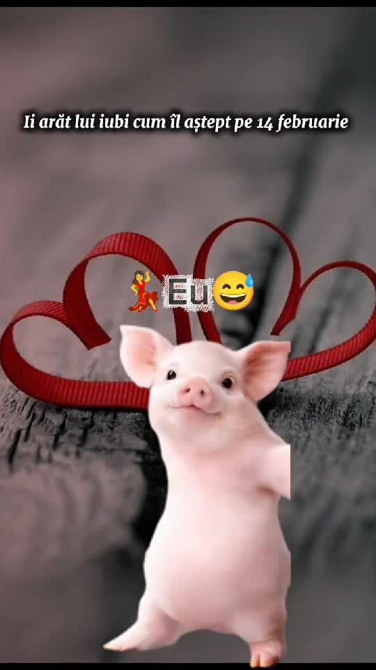💃💃😅😅