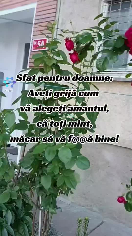 aveți grijă cum vă alegeți amantul...😁😁😁