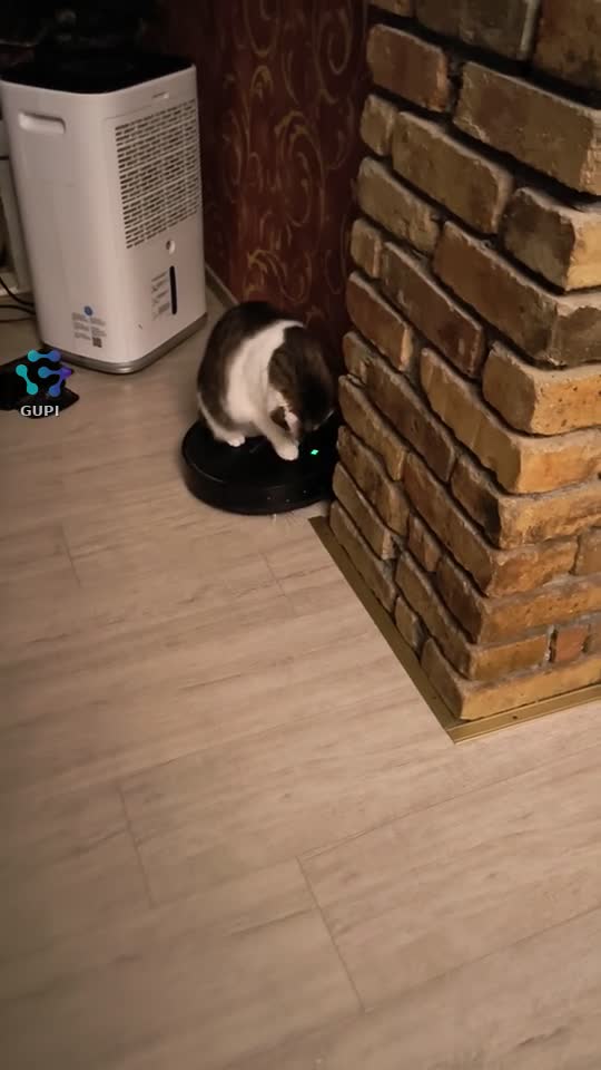 Video de @gupiuser164981