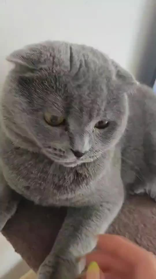 😄😄😄