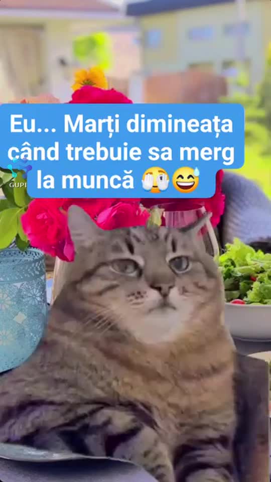 😄
