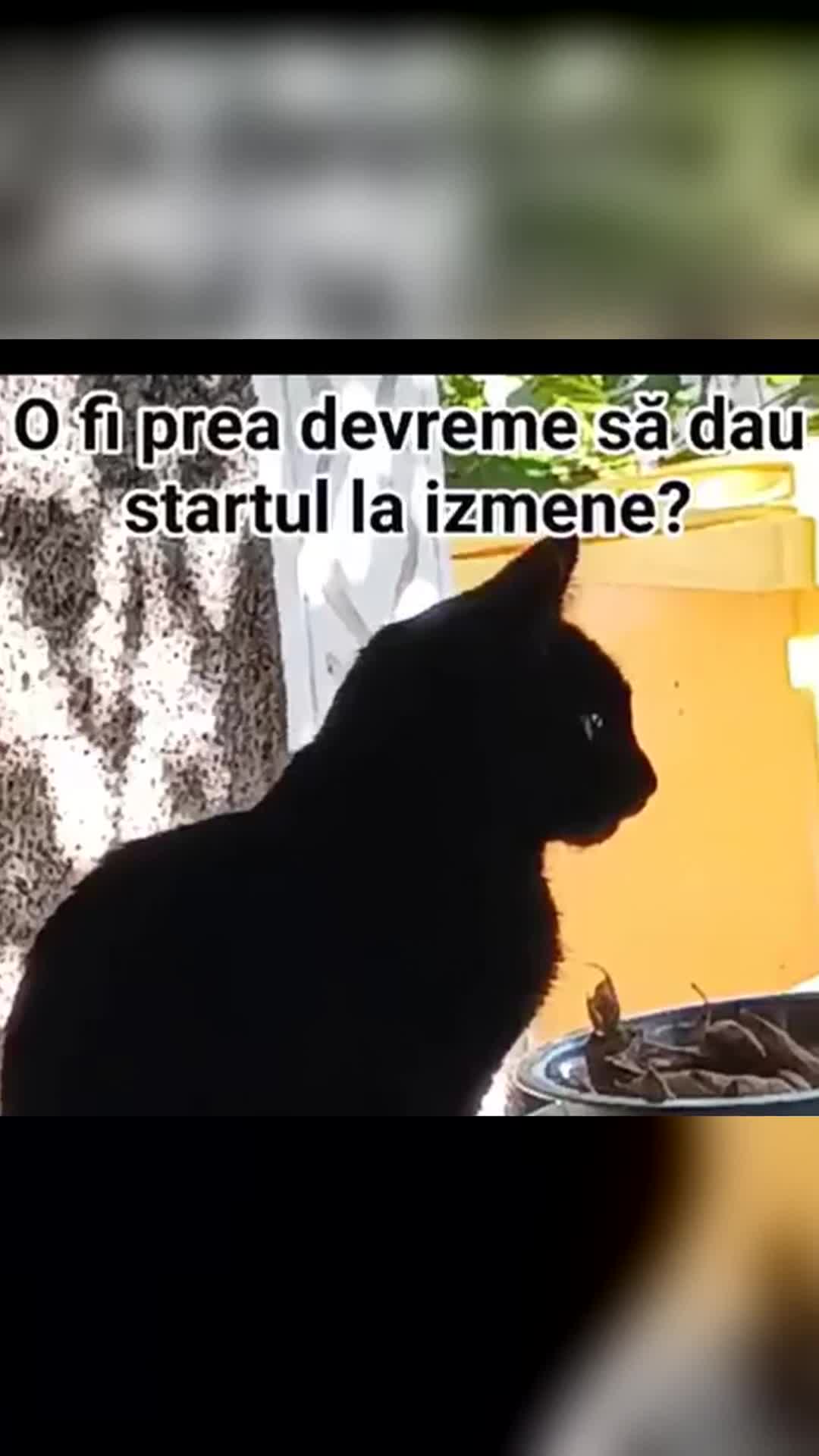Video de @gupiuser1079082