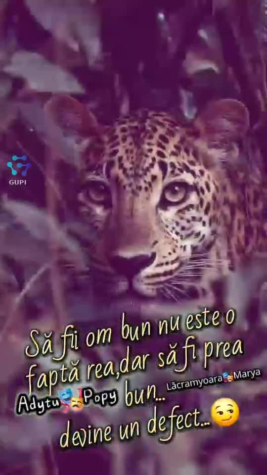 Video de @gupiuser165774