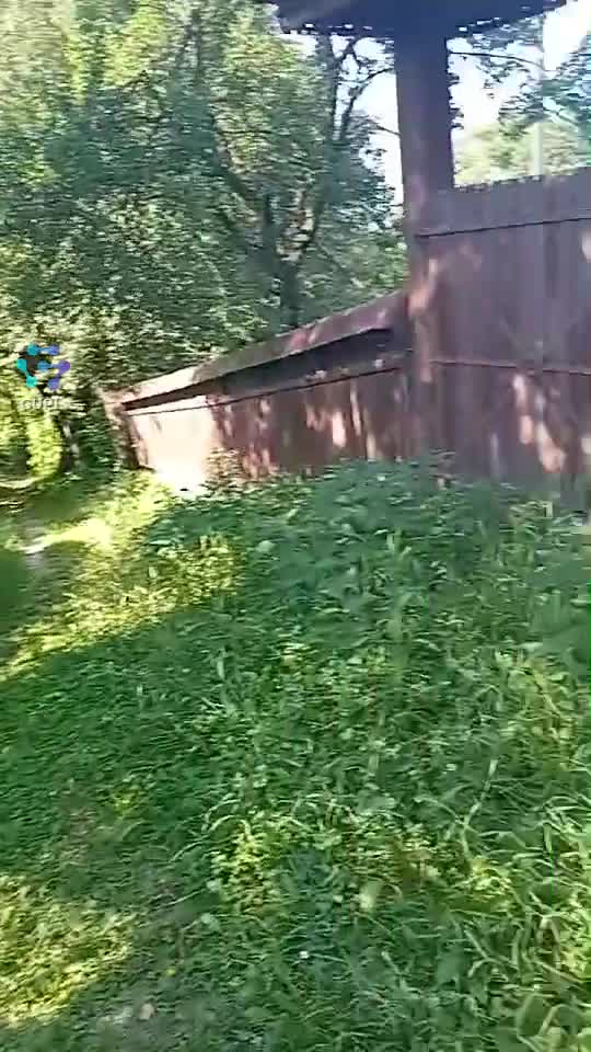 Video de @gupiuser329087