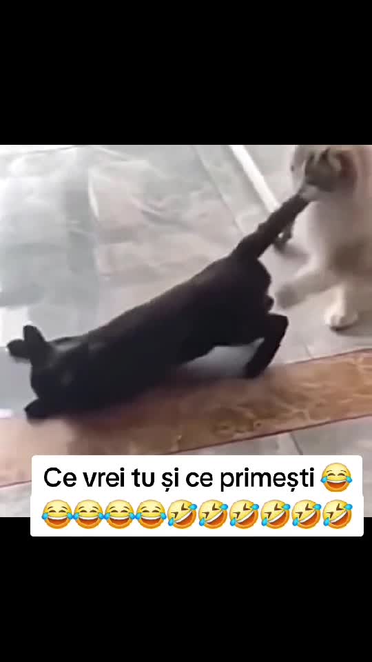 #funn