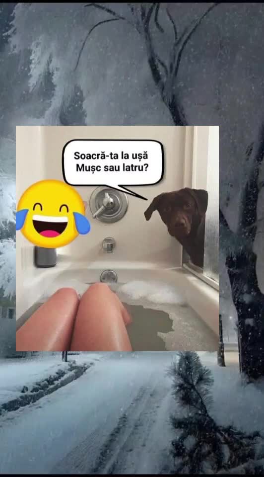 🇷🇴🤪🇷🇴#🇷🇴🤣🤣