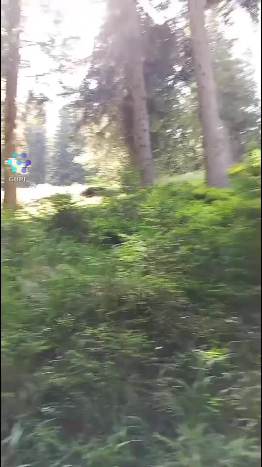 Bass Boost