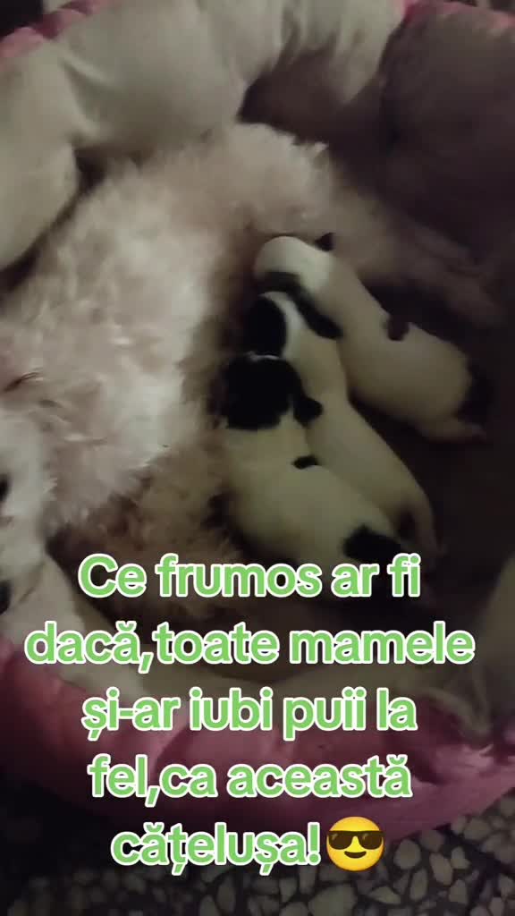 Cât de frumos ar fi, dacă și oameni ar fi la fel în suflet ,dar asta niciodată pt că lumea e reaOm Al Străzii (Denys.Roby)☝️