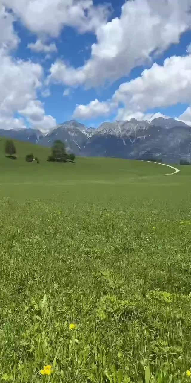 Video de @valifurtună