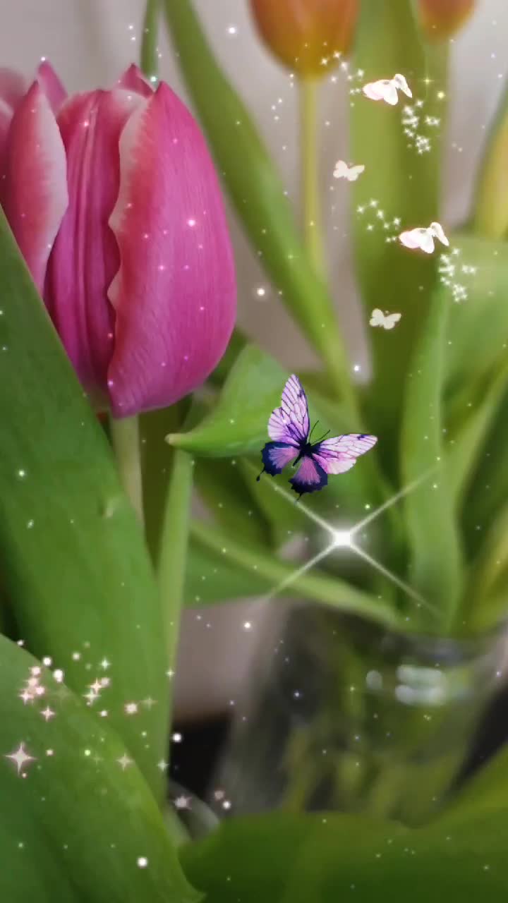 Daca Dragoste nu e nimic nu e❤️