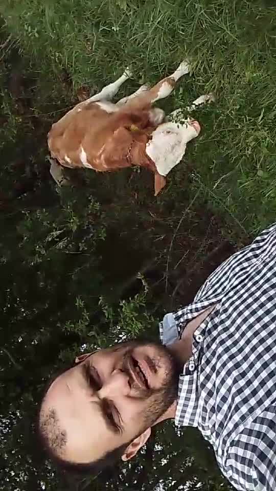 știai că