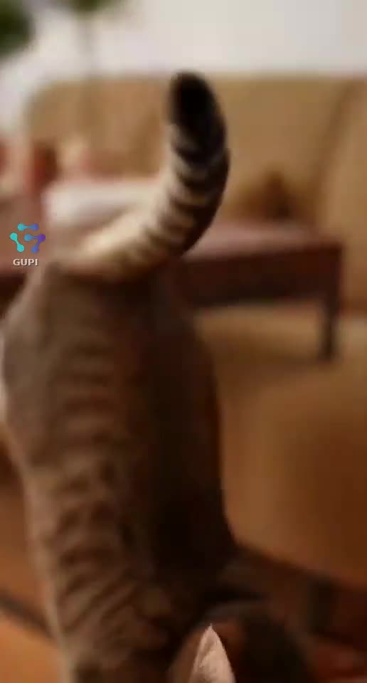 Cat Said Yes… Then No in 0.5 Seconds! 😾💨