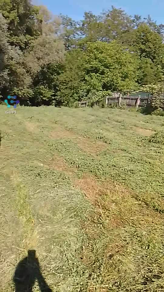 Video de @gupiuser166533