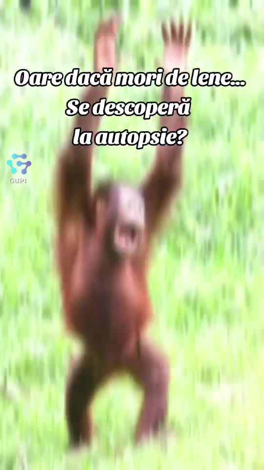 care știe?...😁